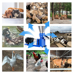 เครื่องผลิตอาหารสัตว์คุณภาพดี เครื่องอัดเม็ดอาหารสัตว์ปีกขนาดเล็ก - Product Image 6