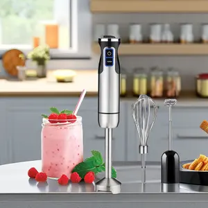 Fashionable Stainless Steel Kitchen Appliance 3 In 1 Electric Handle Stick Blender