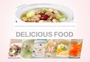 Scaldavivande per Bambini 0,8L 100W, Pentola a Cottura Lenta con Timer Digitale e Coperchio in Vetro Temperato, per Uso Domestico, per Zuppe e Porridge - Product Image 4