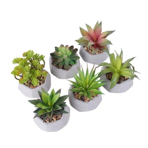 artificial succulent plant