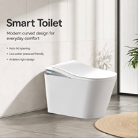 WC intelligent en céramique sur pied avec réservoir intégré pour distributeur d'articles sanitaires (OEM)