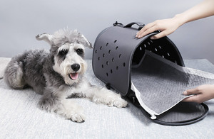 Tấm Lót Huấn Luyện Thú Cưng, Tấm Lót Đi Tiểu Cho Chó, Chó Cưng Bằng Sợi Than Tre - Product Image 5