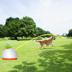 Lanceur automatique de balles pour animaux de compagnie, orange, bleu, gris, ABS, jouet interactif pour chien, machine à lancer des balles de tennis en plein air - Product Image 2