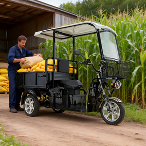 Tricycle agricole longue portée 45 km/h avec toit résistant aux intempéries – Meilleure vente - Product Image 5