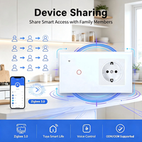 Interruptor Inteligente Zigbee 3.0 Estándar Europeo Tipo 157 y Enchufe Normal con Panel de Vidrio, Control por Voz, Conexión Remota a través de 220V 16A
