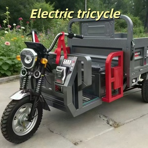 750W para Adultos, 48V 20Ah - Product Image 2