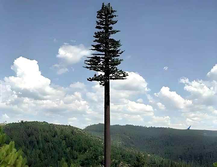 Comm Tree Tower Camouflaged Tree Communication Tower Monopole Cell Signal Mast for ...