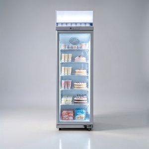 Congélateur vertical commercial ZD, sans givre, refroidissement par air, -22 degrés Celsius, vente <span class=keywords><strong>en</strong></span> gros OEM pour les magasins de détail - Product Image 5