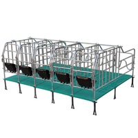 Équipement d'élevage de porcs galvanisé à chaud, cages de gestation pour truies, cages à porcs