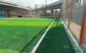 EXITO erba artificiale all'aperto campo da calcio da calcio campi da Padel con 5 persone-taglia personalizzata