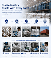 Fournisseur d'hydroxypropylméthylcellulose (HPMC) avec COA et FDS pour l'industrie des matériaux de construction