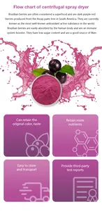 Tedarik organik dondurularak kurutulmuş Acai Berry tozu suda çözünür Acai Berry meyve tozu Acai Berry tozu brezilya