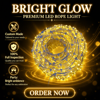 Lumières à clip étanches IP65 pour extérieur, 12V, rouleau de 100m, 666 LED, fil de cuivre PVC, décoration de Noël permanente pour paysage