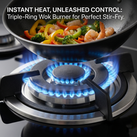 Approvisionnement exclusif transfrontalier |   Cuisinière à gaz et électrique 5 brûleurs haute puissance à couvercle rabattable pour le commerce extérieur, estufa de gas de 4 quemadores