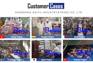 Machine de découpe automatique de viande congelée Baiyu à haute efficacité <span class=keywords><strong>pour</strong></span> la transformation de cubes de viande et de légumes - Product Image 3