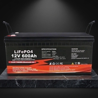 Batería de Litio Solar Portátil LiFePO4 12V 24V 48V 50-600Ah para Uso Fuera de la Red, IP65 Impermeable, para Uso Doméstico 1-10kW, Disponible en EE. UU. y la UE
