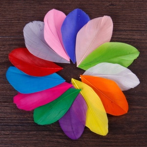 Offerta Speciale: Piume di Oca Naturali 5-8 cm, Punte di Piume Tinte per Cappelli, Artigianato e Fai-da-Te - Product Image 2