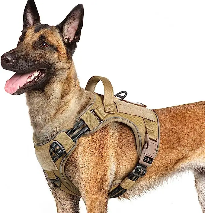 Chien tactique poitrine dos nylon poignée chien maillot de corps vêtements extérieur militaire chien formation sangle de poitrine