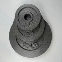 Plaques de poids en fonte à vendre – Plaques de poids en fer bon marché pour la musculation