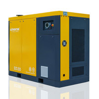 Pompe à vide à vis intelligente à vente chaude en usine pour hôtels, faible bruit, moteurs de 7,5 kW, 11 kW, 15 kW, 22 kW, 30 kW pour équipements généraux