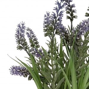 Flores Secas Naturales Decorativas en Oferta, Flores de Lavanda Secas para Decoración de Interiores y Exteriores para Bodas - Product Image 3