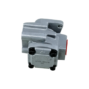 Nouvelle pompe hydraulique série GPYZ, pompe à engrenages haute performance GPYZ-5.8R323B en fonte, modèle 260 - Product Image 4