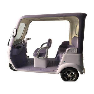 Juejue Purple HQ-Lushang Mini Tricycle Fermé pour Enfants - Courses et Petits Trajets, Autonomie 30 km, Vitesse 30 km/h, Idéal pour la Ville - Product Image 1