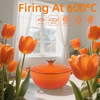 Cocotte en fonte émaillée avec couvercle pour la cuisine, ensemble de casseroles et poêles antiadhésives avec poignée