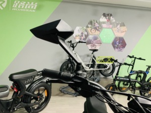 2024 Roadsan V20 <strong>Ebike</strong> for Adults 24inch Fat Tyre 48V 15AH/20AH Lithium Battery Dual Disc Brake System - Product Image 5