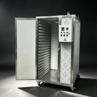 Four de séchage à air chaud commercial pour fruits africains, poissons et transformation alimentaire
