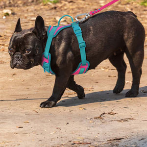 Yeni yayımlanan OEM hayır çekme ön kurşun ayarlanabilir yastıklı köpek demeti açık kolay kontrol evcil hayvan koşumu büyük köpekler için - Product Image 4