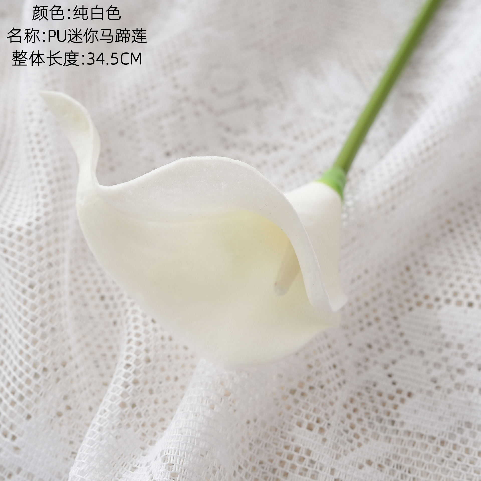 Blanc pur