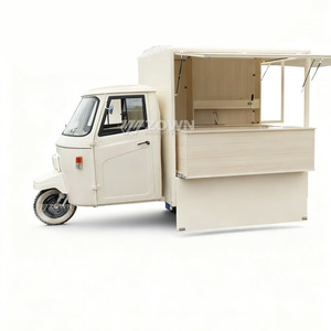 Direct-from-Factory Electric Tricycle Food Cart Design Construction 2-Year Warranty for Hamburger Pizza BBQ - Product Image 1