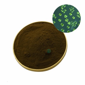 مسحوق nannocloropsis Gaditana مسحوق نتوبلانكتون بحري من الدرجة الغذائية مسحوق نانوكلوروبسيس - Product Image 1