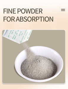 Hoge Kwaliteit Natuurlijke <span class=keywords><strong>Detox</strong></span> Voet <span class=keywords><strong>Patches</strong></span> 10 Stuks Diepe Reiniging <span class=keywords><strong>Detox</strong></span> Voet Pads Met Bamboe En Gember Poeder - Product Image 4