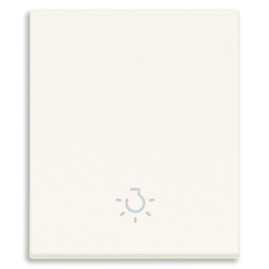 White Light <b>Switch</b> With Symbol 10 In Length 7.5 In Width 0.8 In Height Wall Mount - Product Image 1