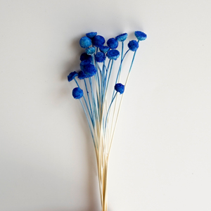 Botón de flor preservada poco seca Natural pura Flor de crisantemo decorativo Mini Margarita botón flor para decoración del hogar - Product Image 4