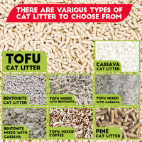 Litière pour chat au tofu écologique, best-seller, à forte agglomération, longue durée, sans danger pour les animaux de compagnie