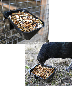 <span class=keywords><strong>Abreuvoir</strong></span> <span class=keywords><strong>suspendu</strong></span> ZZ pour volailles, <span class=keywords><strong>oiseaux</strong></span>, poulets, pigeons, en plastique - Product Image 6