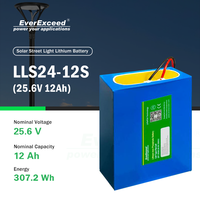 Baterai Lithium Ion Kapasitas Tinggi, Siklus Dalam, Dapat Diisi Ulang untuk Lampu Jalan, Penyimpanan Rumah, dan Daya Luar Ruangan