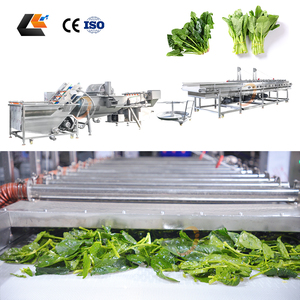 เครื่องล้างผักผลไม้ ผักกาดหอม ราคาโรงงาน เครื่องหั่นสลัด เครื่องทำสลัด สายการผลิตผักสลัด - Product Image 3