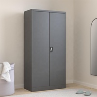 Armario Moderno para el Hogar, de Almacenamiento, de 2 Puertas, Diseño Personalizado, para Dormitorio, Ropero de Acero y Metal con Espejo