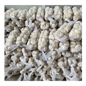 2025 <strong>Garlic</strong> New Crop 3-4cm 4.5 5.0 5.5 6.0.cm Available Bulk Pack/3 4 5pcs Bag Ajo Alho Supplier With Lowest Price Best Quality - Product Image 1