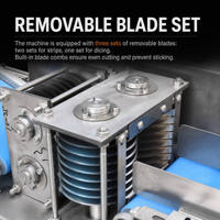 Coupe-viande automatique en acier inoxydable de qualité alimentaire avec moteur, capacité de 600 kg/h pour la découpe de blocs et de bandes de bœuf/poulet/poisson
