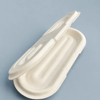 Barquette d'emballage en pulpe moulée biodégradable et écologique pour l'électronique grand public (accessoires de téléphonie mobile) en pulpe de papier de canne à sucre