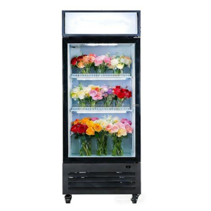 Refrigerador vertical de una sola puerta para exhibición de flores, gabinete de conservación de flores para floristería, vitrina de exhibición de flores con puerta de vidrio - Product Image 1