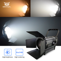 Projecteur LED COB DMX512 à lentille Fresnel 400W avec zoom électrique manuel automatique pour scène, théâtre, musée