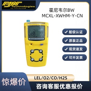 Bw Microclip Xl Portable Multi Gas Detector <b>Rechargeable</b> Battery Sound Light <b>Vibration</b> Alarm For Oxygen Combustible Gas Co H2S - Product Image 5