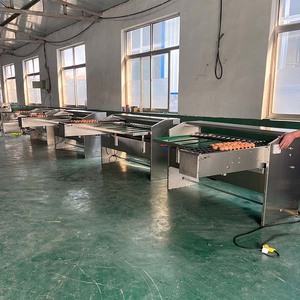 Equipo agrícola robusto Construcción de servicio pesado Operación automática Máquina de pesaje de huevos - Product Image 2