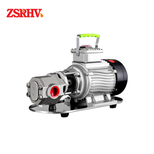 Bomba de Aceite de Alta Velocidad Más Vendida, Fabricada en Acero Inoxidable y Hierro Fundido para Aguas Residuales Suaves e Industrias Alimentarias ZS-B06 - Product Image 1